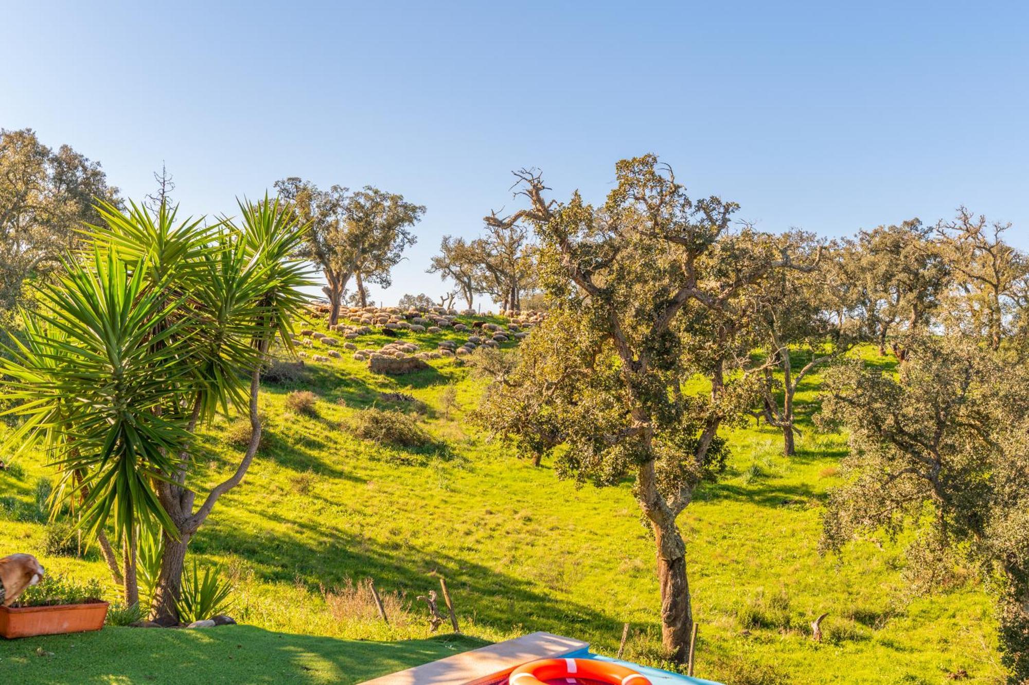 Sierra Melides Villa,Alentejo, Br2 With Private Pool, Br3 With Private Pool - Near Beach São Francisco da Serra Rum bild